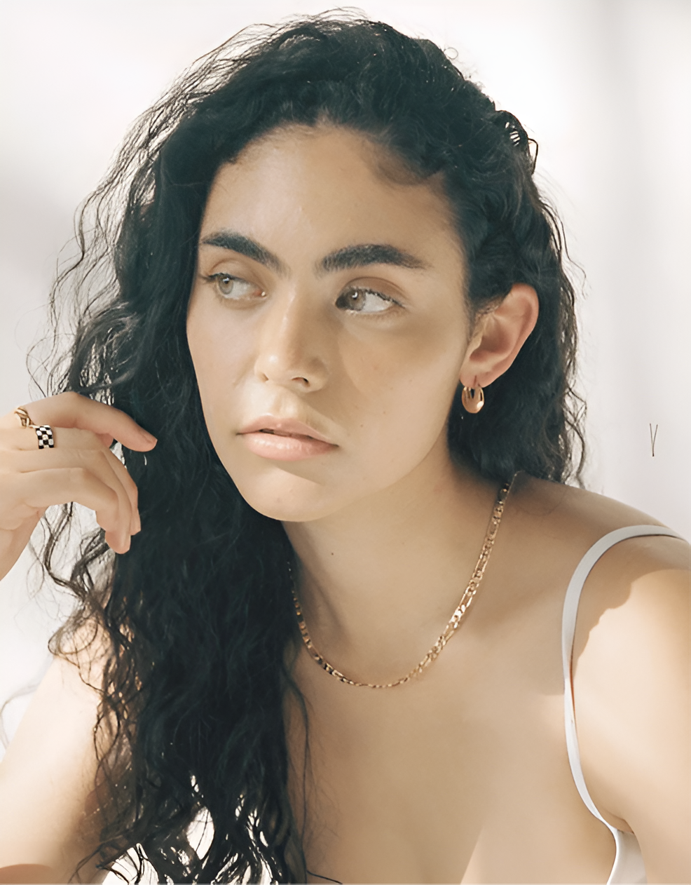Bold Gold Hoop Earrings